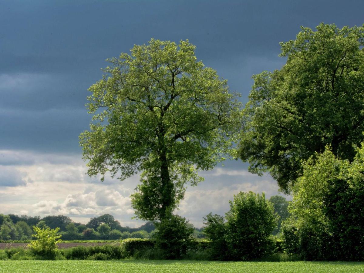Villa Monumental Farm In The Ash Landscape Geesteren  Exterior foto
