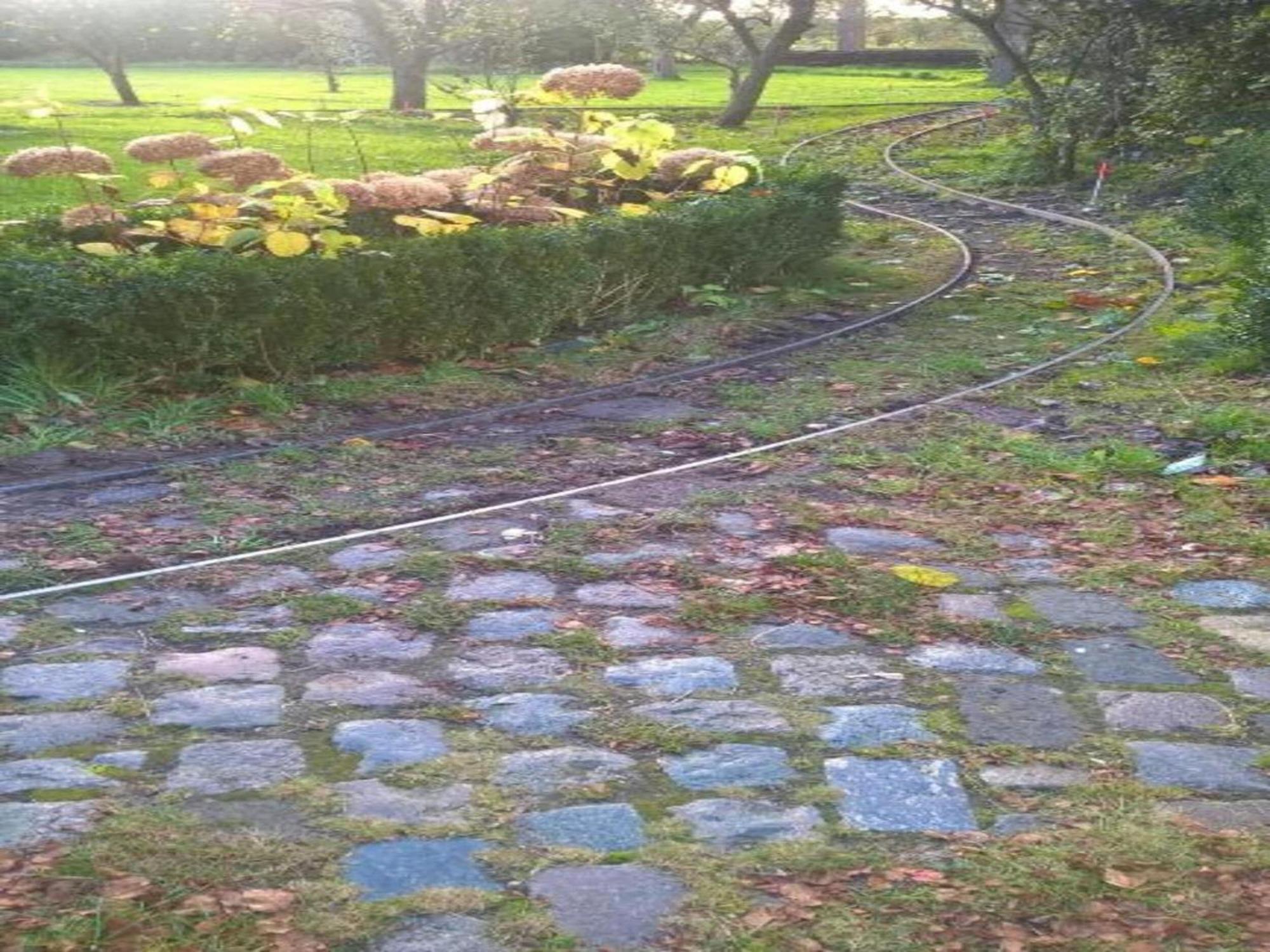 Villa Monumental Farm In The Ash Landscape Geesteren  Exterior foto