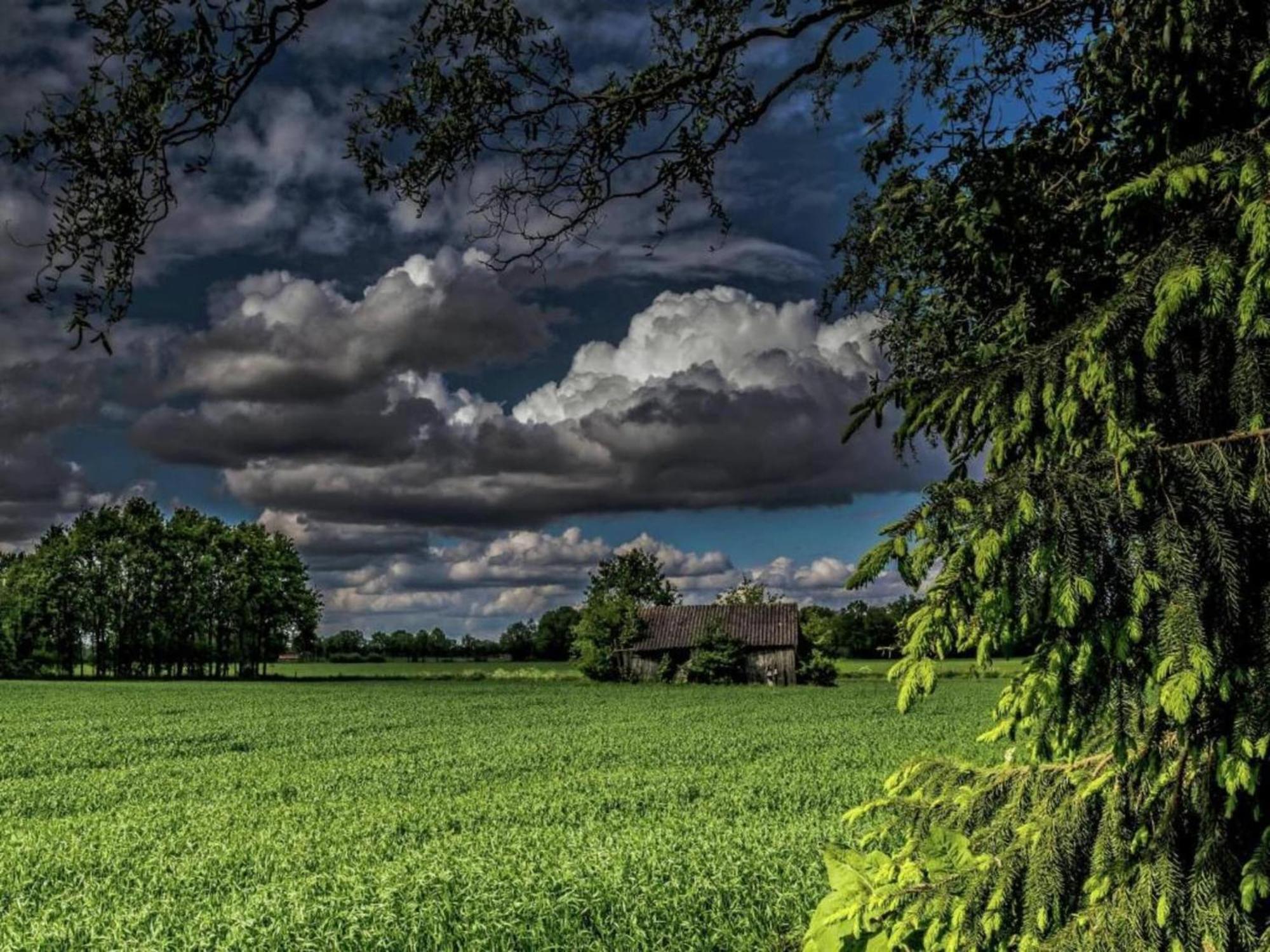 Villa Monumental Farm In The Ash Landscape Geesteren  Exterior foto